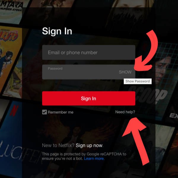 netflix login issue check password show password